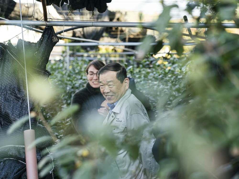 宇治の茶畑での交流